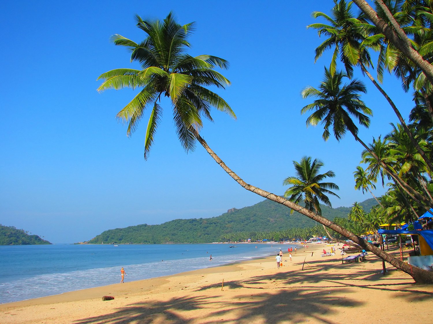 Sandy beach in Goa India Tours On The Go Tours 346991495533921