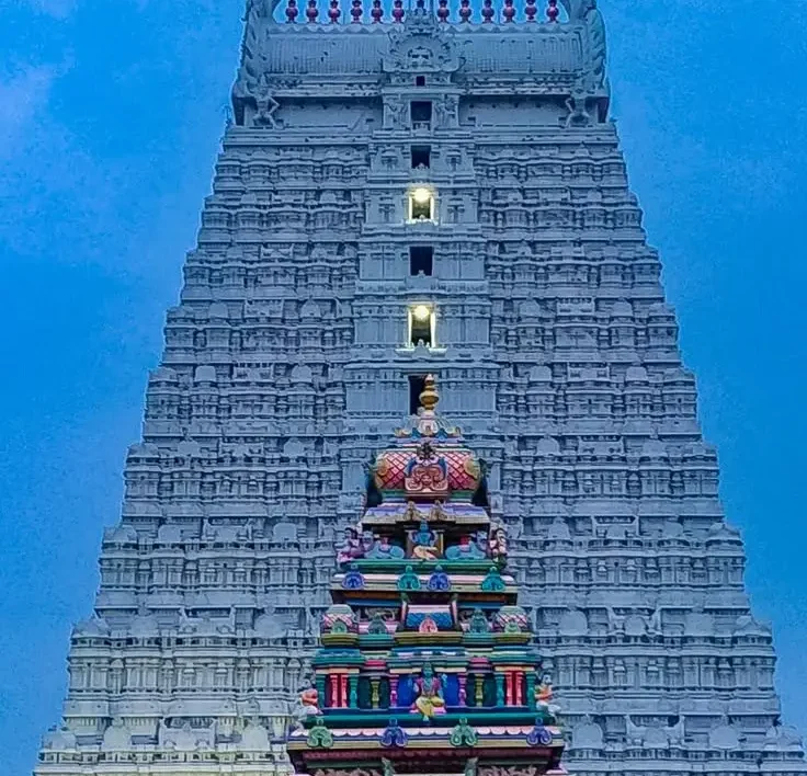 download 1 1 e1764511461417