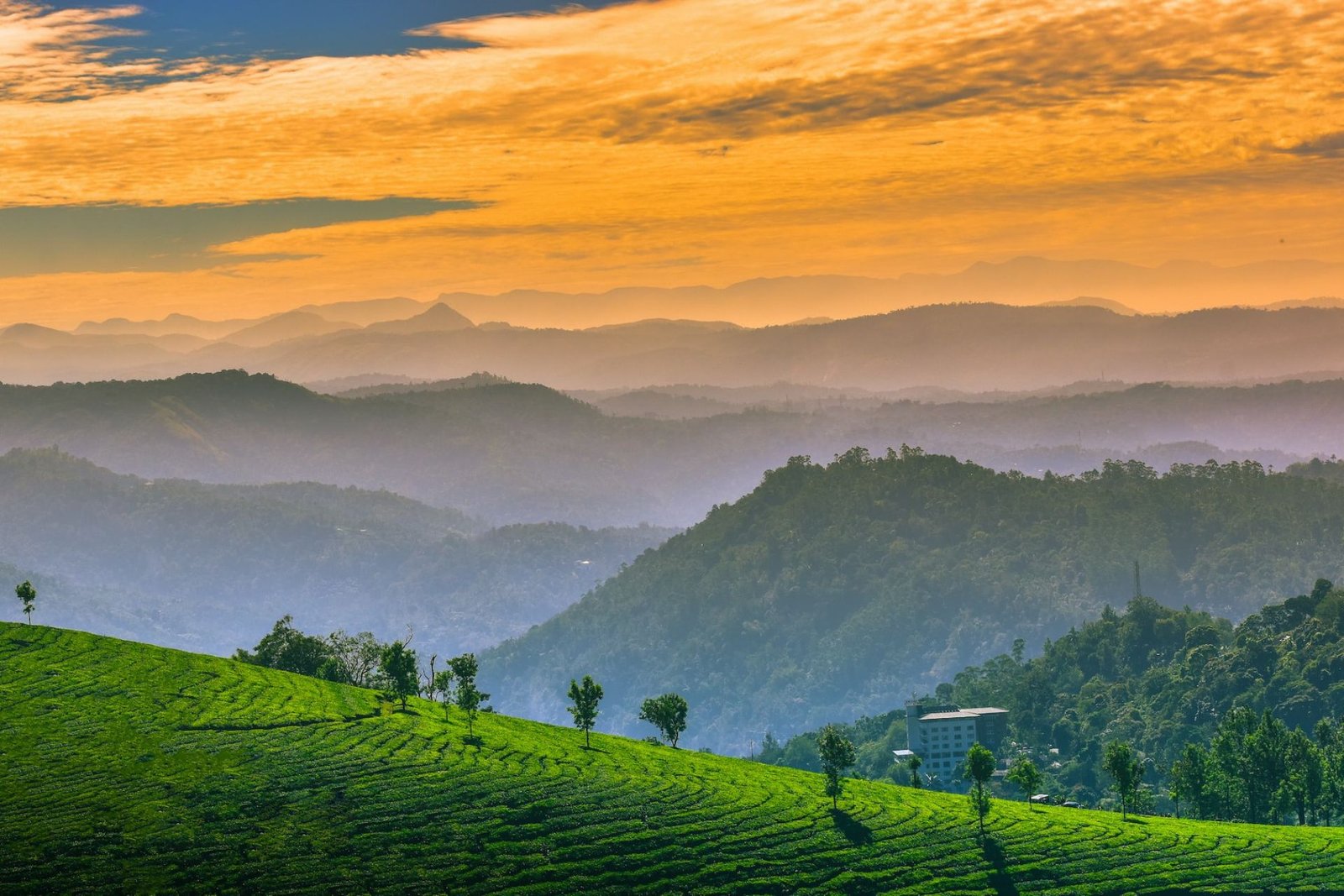 one day munnar local sightseeing tour package with top station by private car header