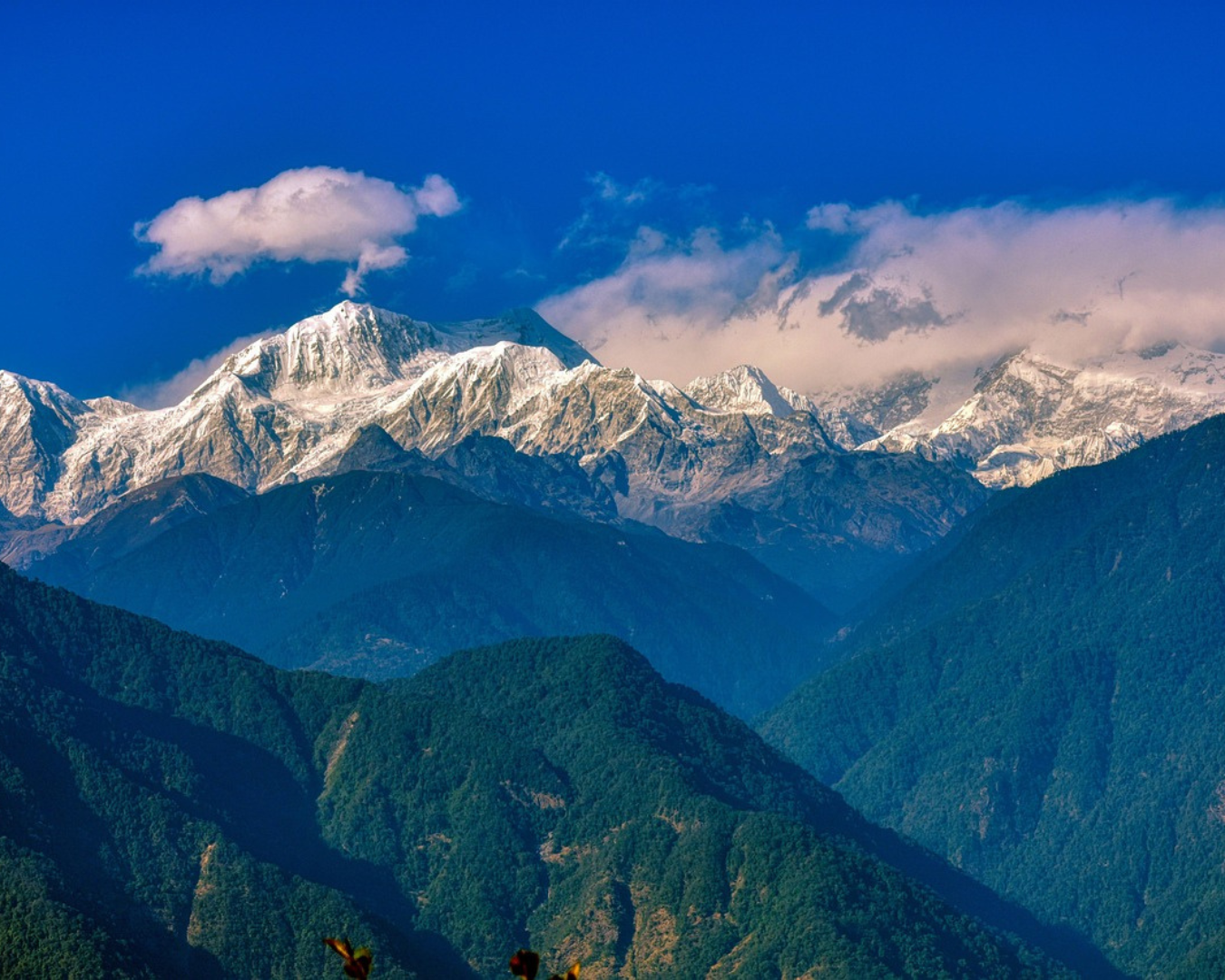 https://tripholidaysplanner.com/sikkim-travel-guide/?preview=true